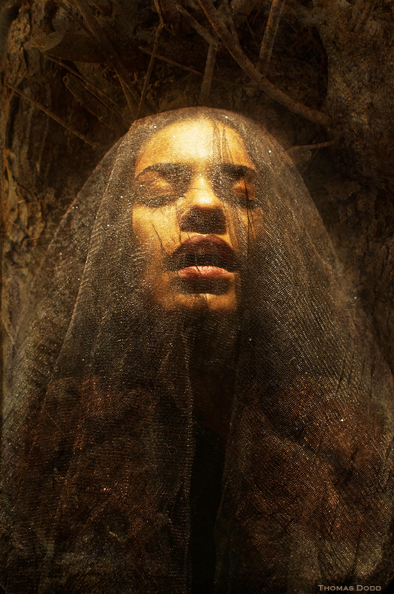  the Oracle